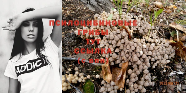 эйфоретик Протвино