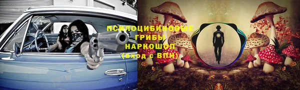 мет Инта