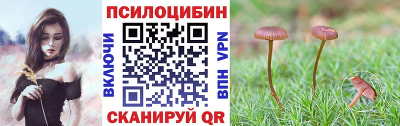 Галлюциногенные грибы прущие грибы мега как зайти Сураж